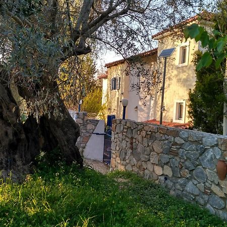9 Musses Hotel Apartments Σκάλα Μιστεγνών Εξωτερικό φωτογραφία