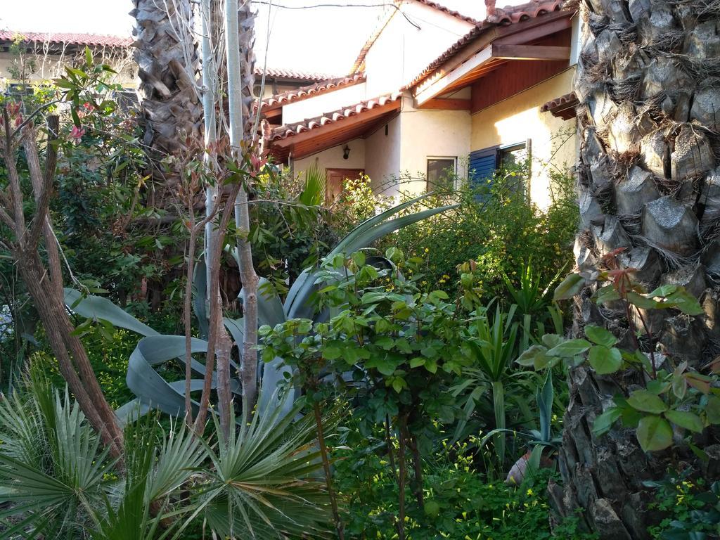 9 Musses Hotel Apartments Σκάλα Μιστεγνών Εξωτερικό φωτογραφία